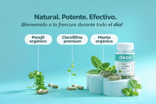 Frescura Total Interior Diario Natural